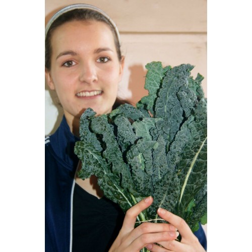 SPRAY FREE CAVOLO NERO  500GRAM Bunch Katikati Grown